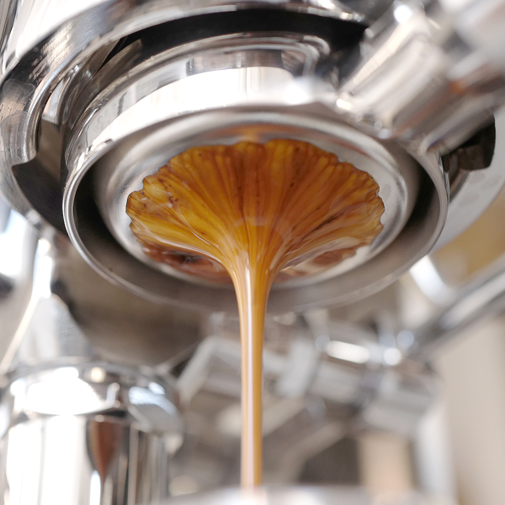 [호환] 54mm 브레빌 바텀리스 포터필터 870 876 880 로즈우드 바스켓 미포함