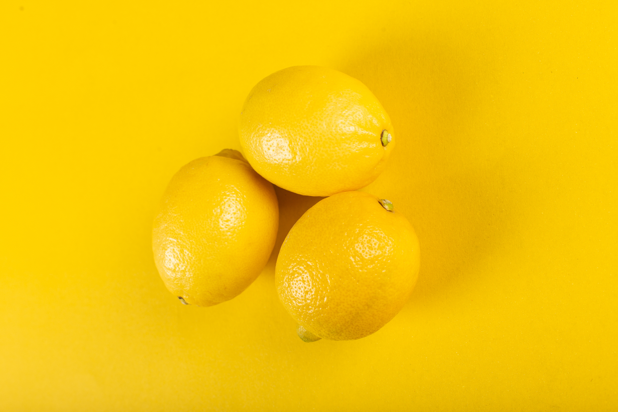 팬시 레몬 생과 1개 특상품 레몬 140과