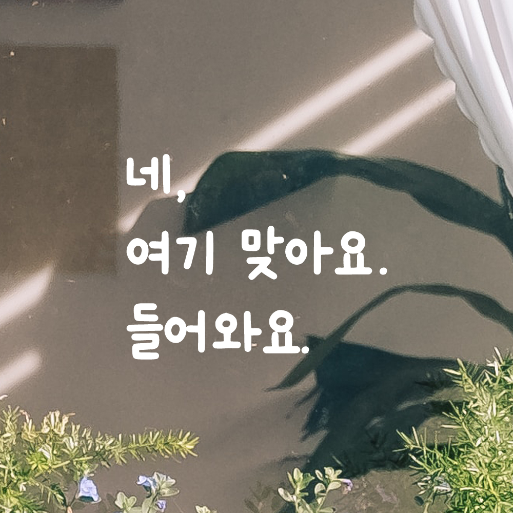 귀여운 손글씨 레터링 스티커 네 여기 맞아요 들어와요 LMM-099S 검정 - 상품 이미지