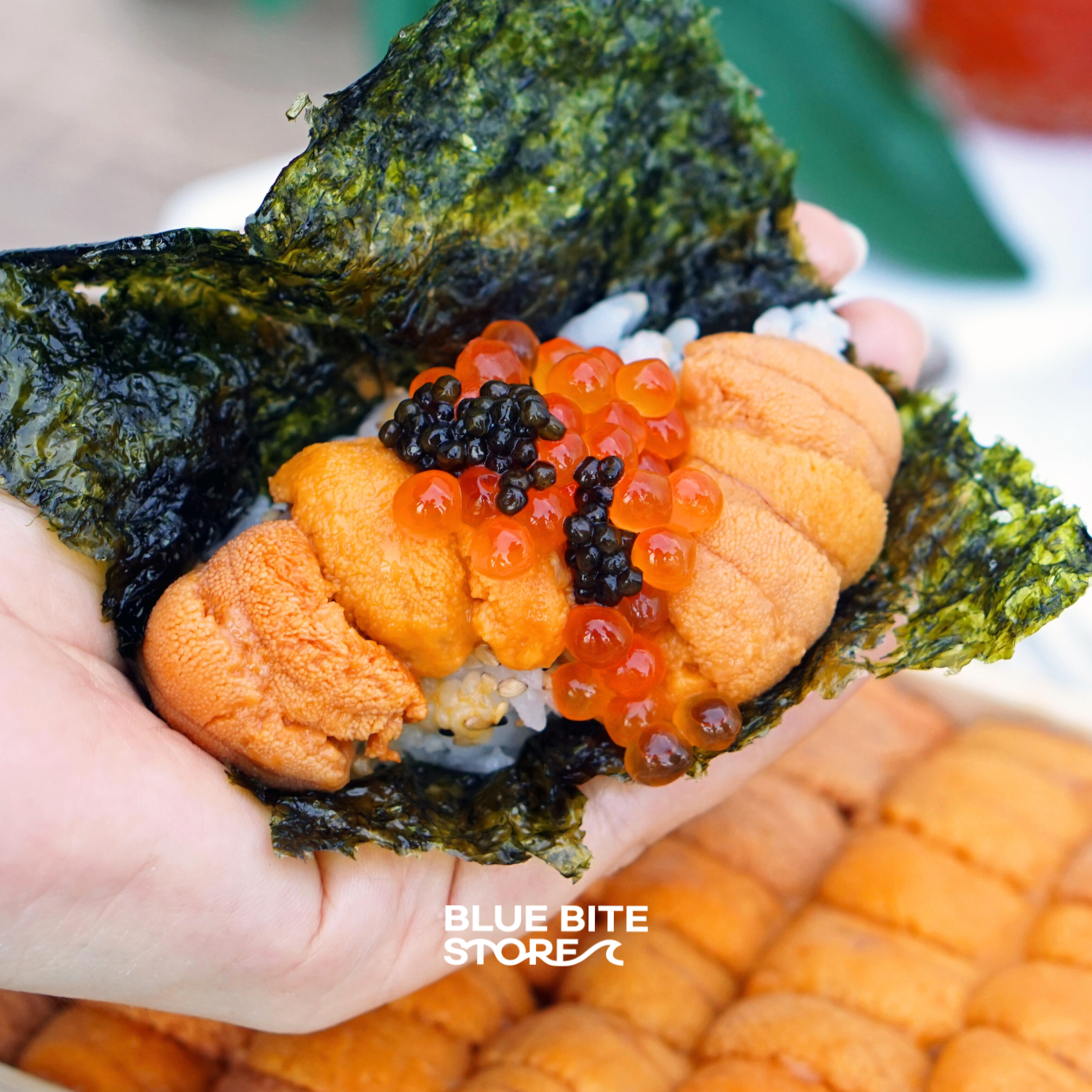 북해도 우니 최상급 성게알 250g 자연산 홋카이도 바훈우니 - 상세 이미지 3
