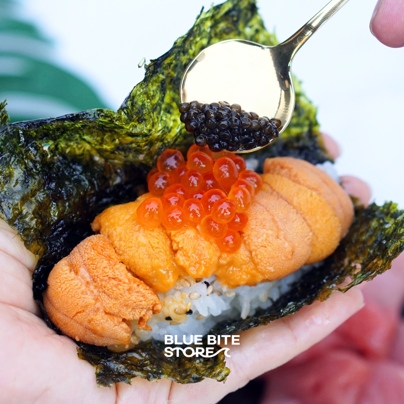 북해도 우니 최상급 성게알 250g 자연산 홋카이도 바훈우니 - 상세 이미지 5