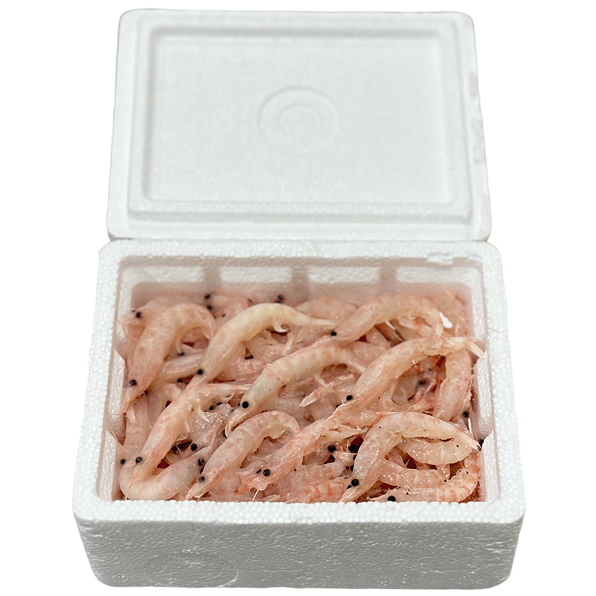 대상 사이즈가 큰 감성돔 벵에돔 전용 스페셜 생 크릴 약160g 참돔 밑밥