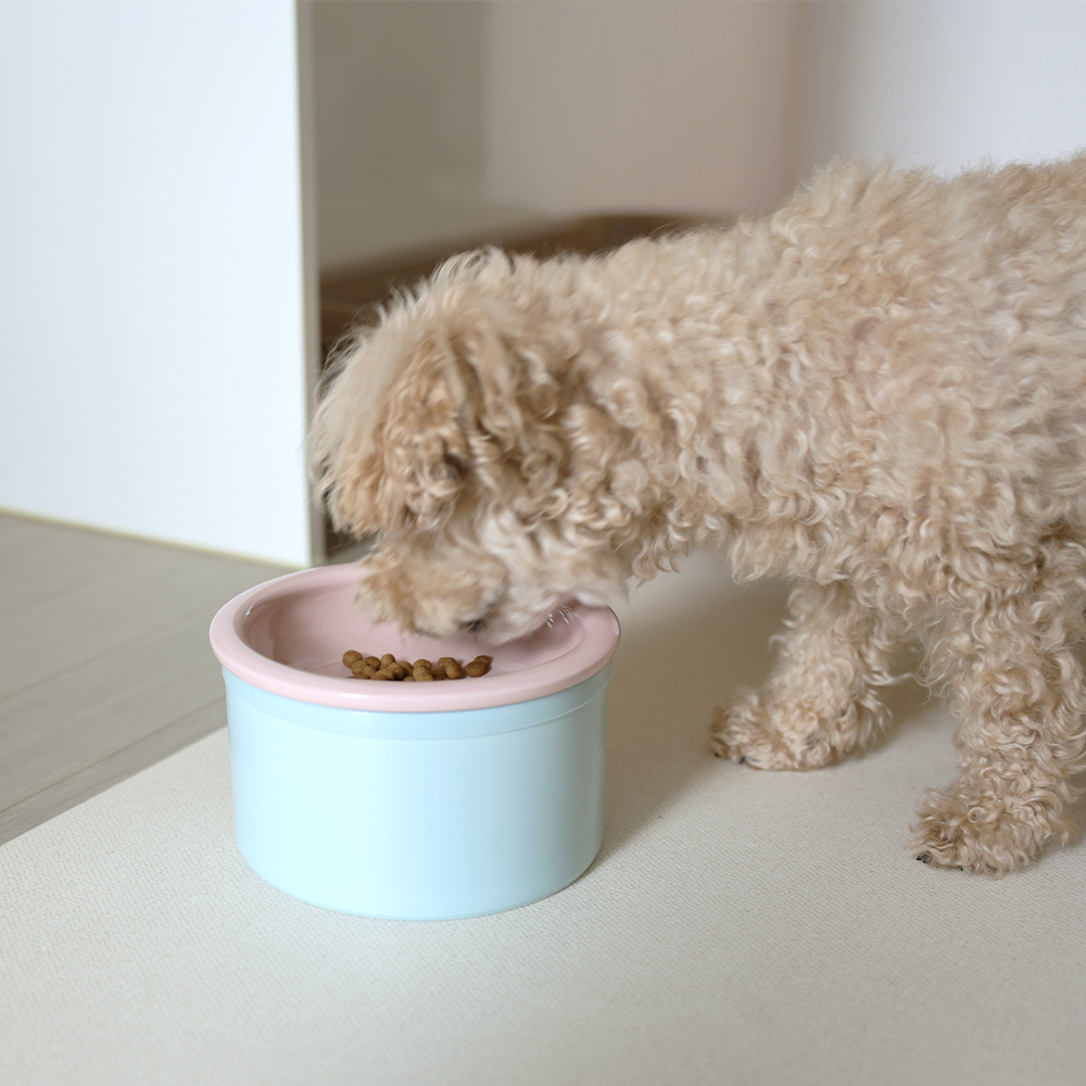 [강아지의날] 보울보울 강아지 고양이 밥그릇 식기세트 헬로볼 7cm 이미지 2