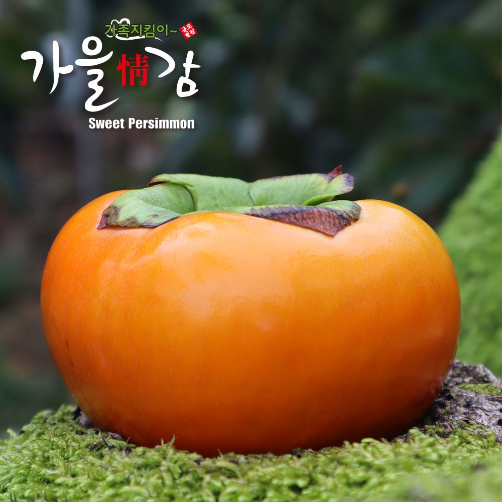 [산지직송] 민재농원 제철 햇 단감 부유단감 10kg 5kg 3.4kg - 상세 이미지 3