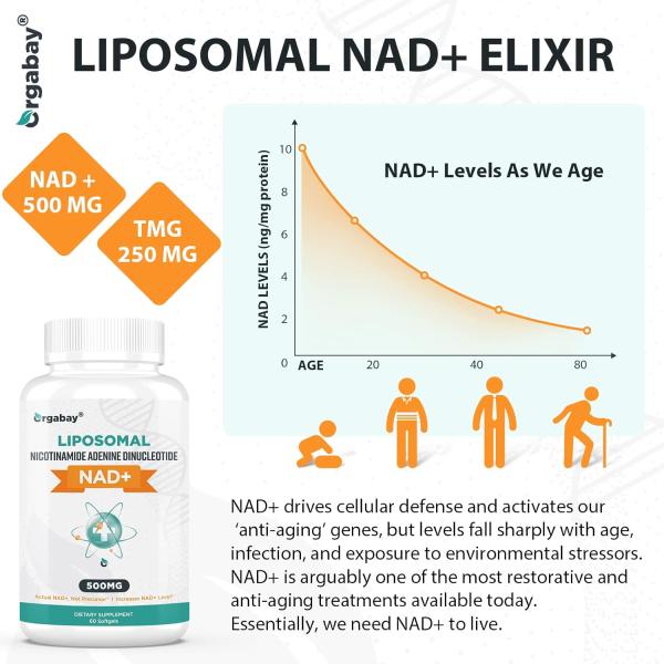 Orgabay 리포좀 니코틴아마이드 500mg 소프트젤 : 쇼핑이지easy