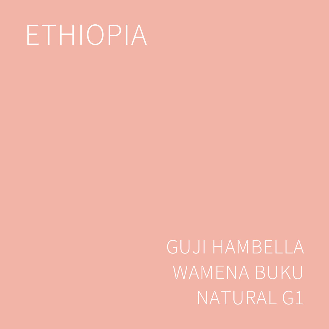 에티오피아 구지 함벨라 와메나 부쿠 내추럴 G1 5KG (ETHIOPIA GUJI HAMBELLA WAMENA BUKU NATURAL)