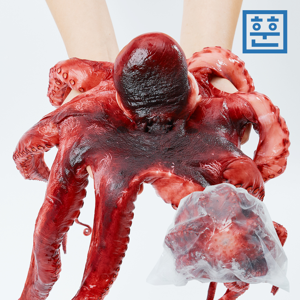 자숙문어 1마리 제수용 큰사이즈 (손질,세척,자숙 완료)