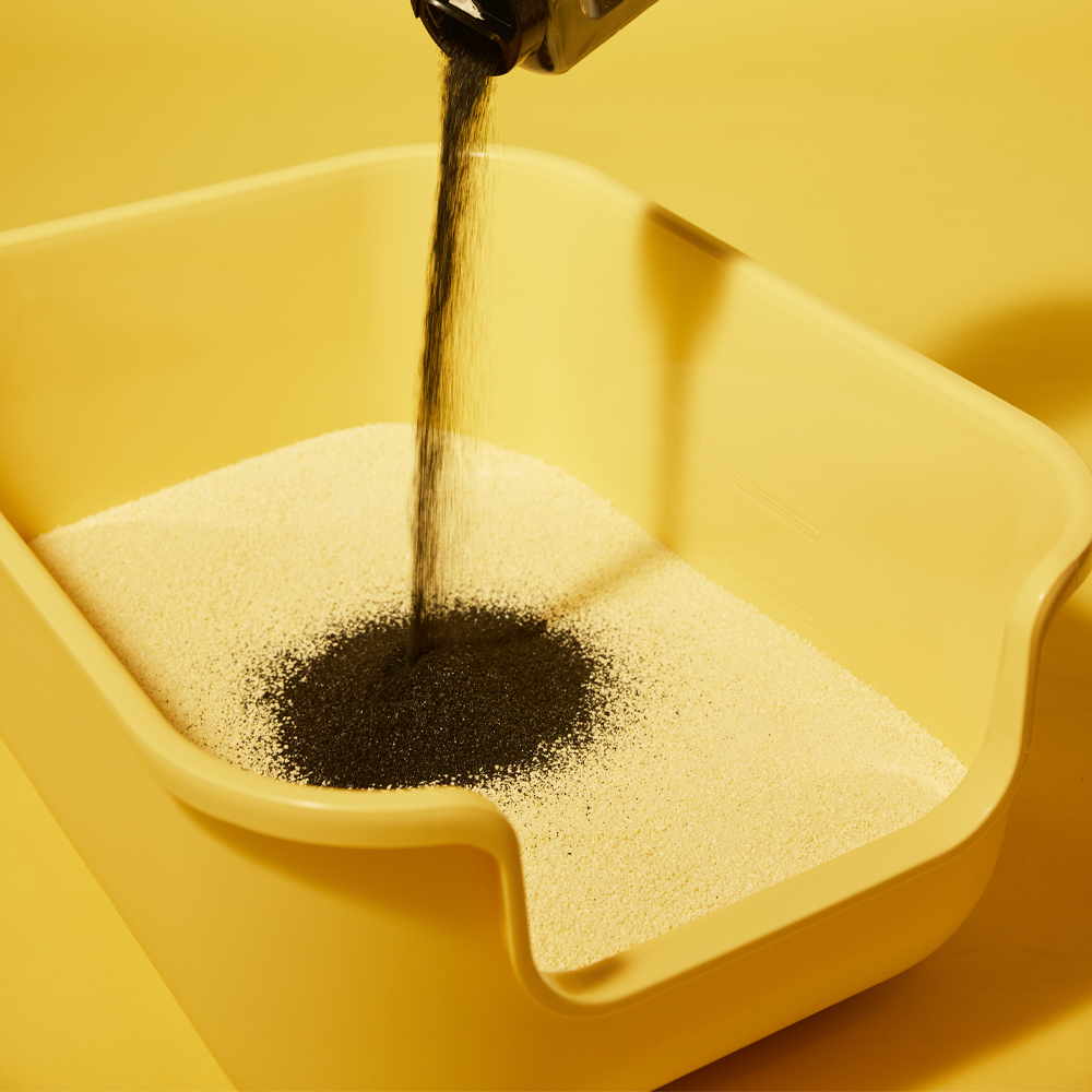 3651 블랙탄 천연 고양이모래 탈취제 화장실 냄새제거 3000ml, 1개