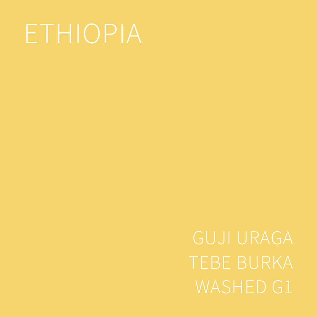 에티오피아 구지 우라가 테베 부르카 워시드 G1 5KG (ETHIOPIA GUJI URAGA TEBE BURKA WASHED)