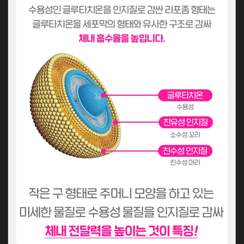 EnB 리포좀 L 글루타치온 필름 30매 3박스 3개월 인지질코팅 고순도 90% 비타민C 이미지 7