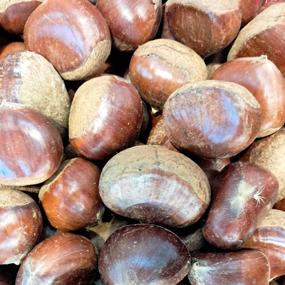 [포항시 배달] 달달 담백한 가을 공주밤 1kg [죽도 옥천상회] : 동네시장 장보기