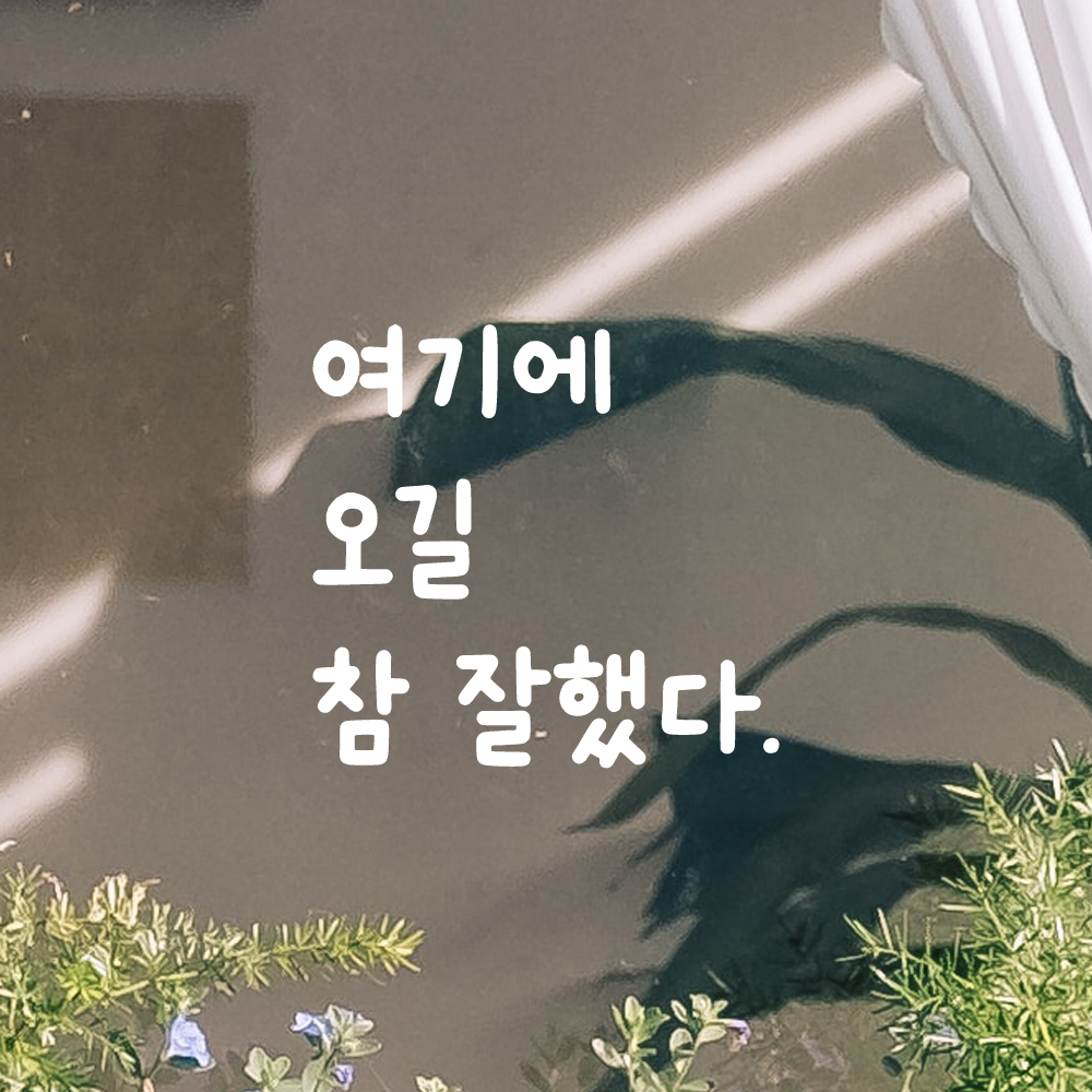 귀여운 손글씨 레터링 스티커 여기에 오길 참 잘했다 LMM-045S 검정 - 상세 이미지 2