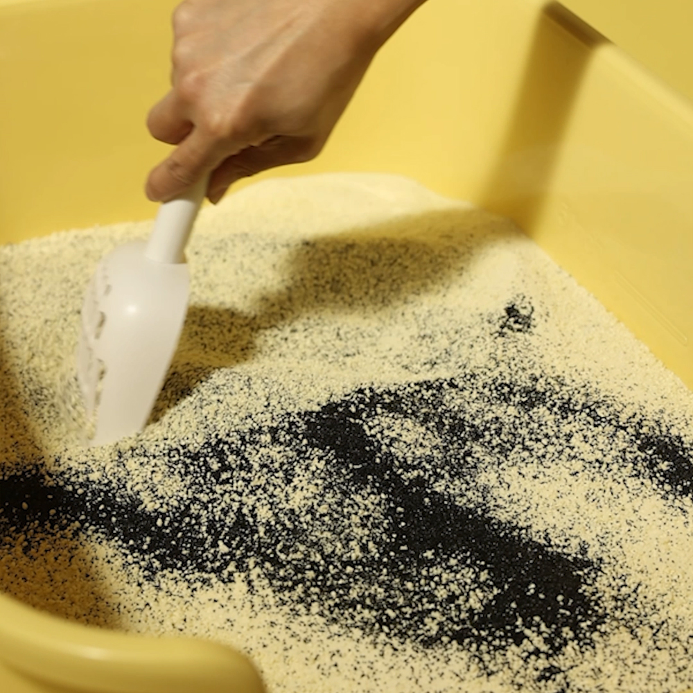 3651 블랙탄 천연 고양이모래 탈취제 화장실 냄새제거 3000ml, 1개