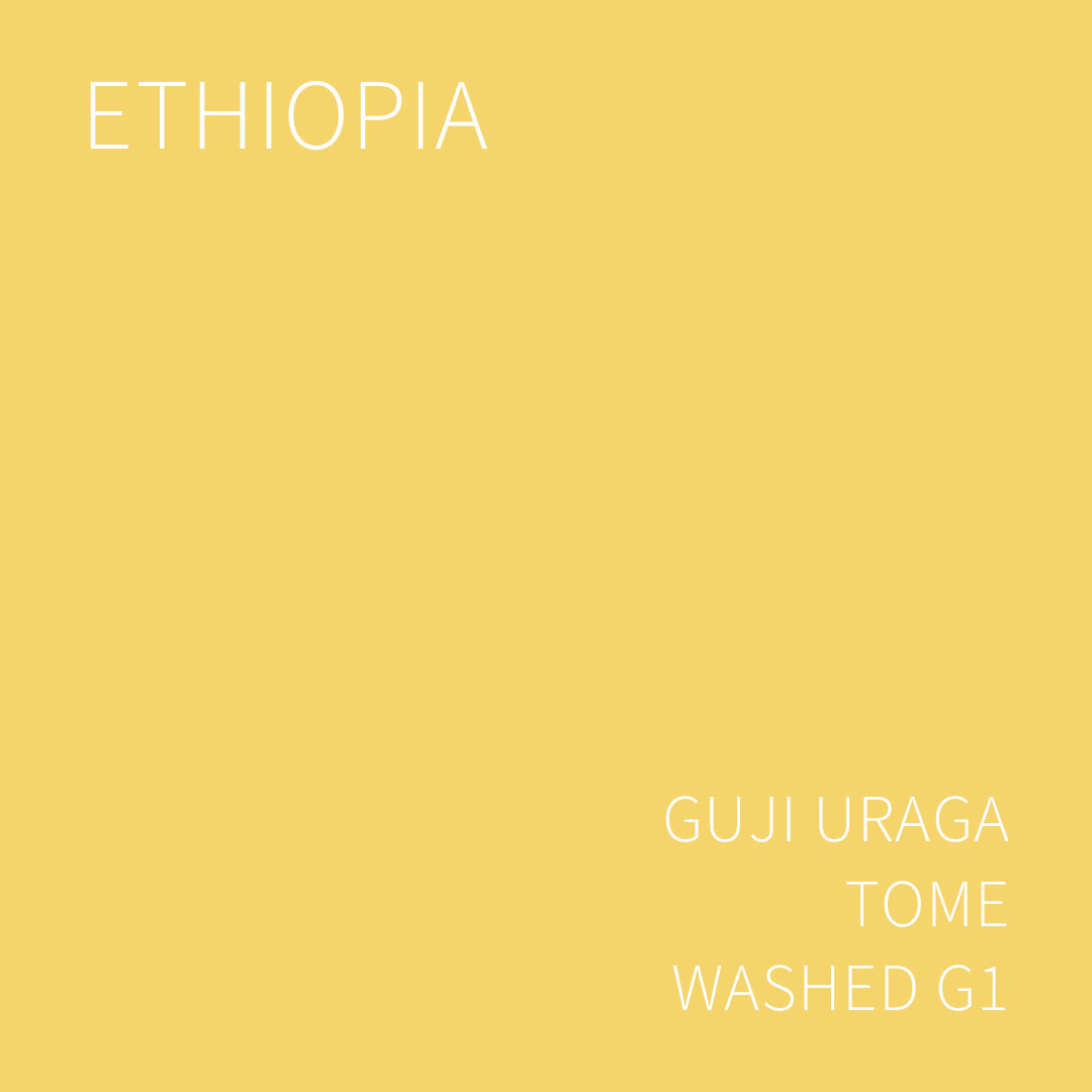 에티오피아 구지 우라가 토메 워시드 G1 5KG (ETHIOPIA GUJI URAGA TOME WASHED)