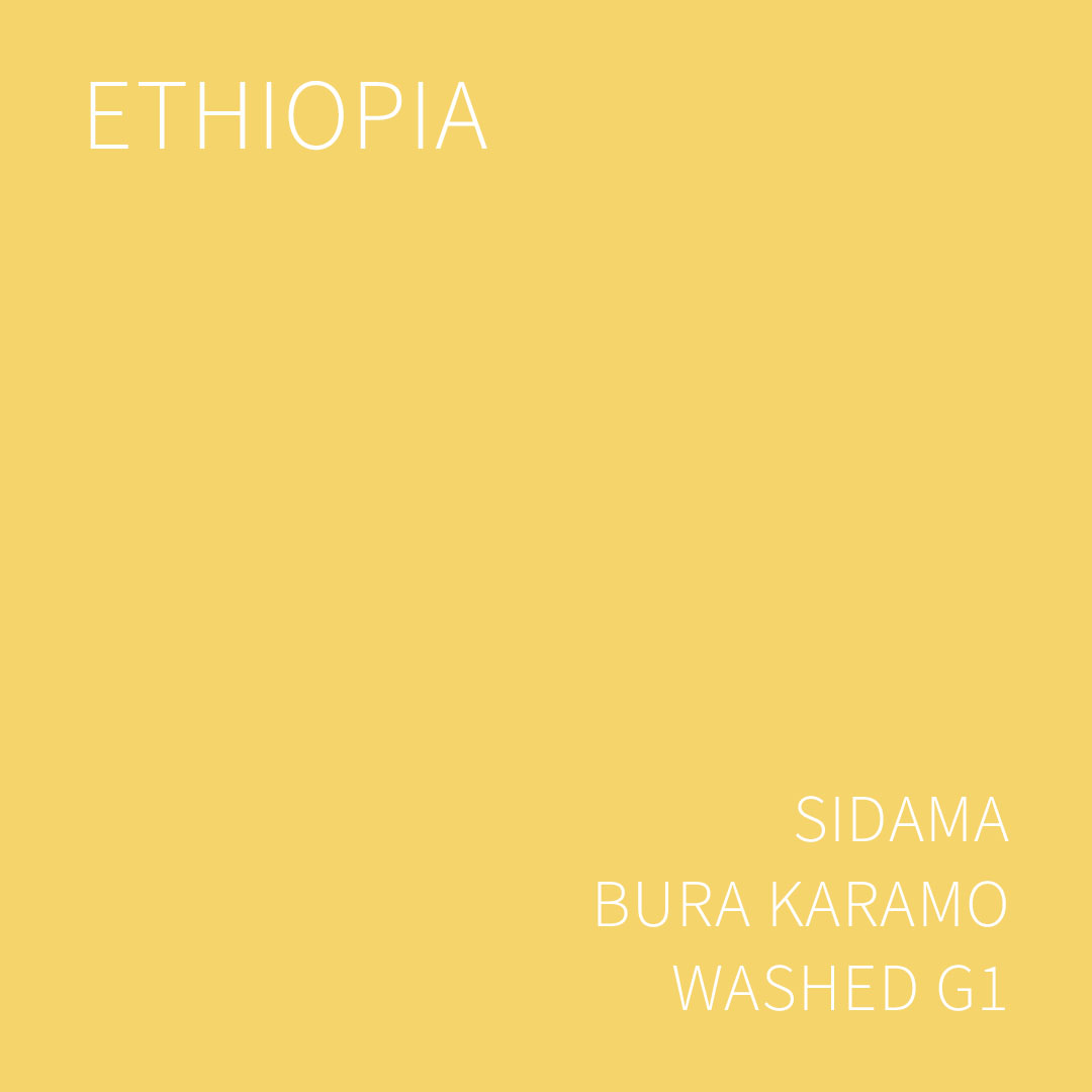 에티오피아 시다마 부라 카라모 워시드 G1 5KG (ETHIOPIA SIDAMA BURA KARAMO WASHED)