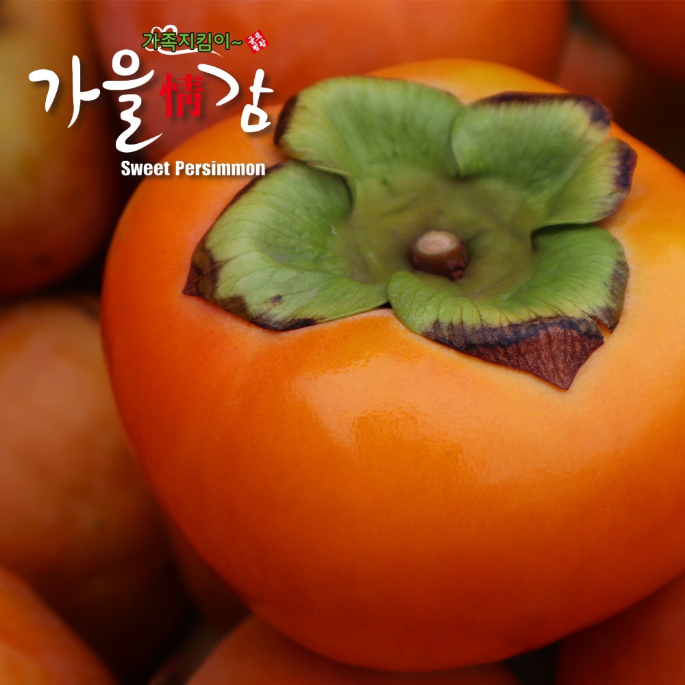 [산지직송] 민재농원 제철 햇 단감 부유단감 10kg 5kg 3.4kg - 상세 이미지 2
