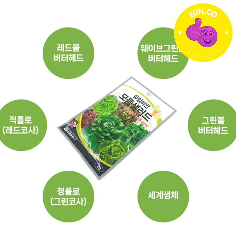 집에서 채소 키우기 텃밭 가꾸기 베란다 야채 씨앗 씨 모듬 - 상품 이미지