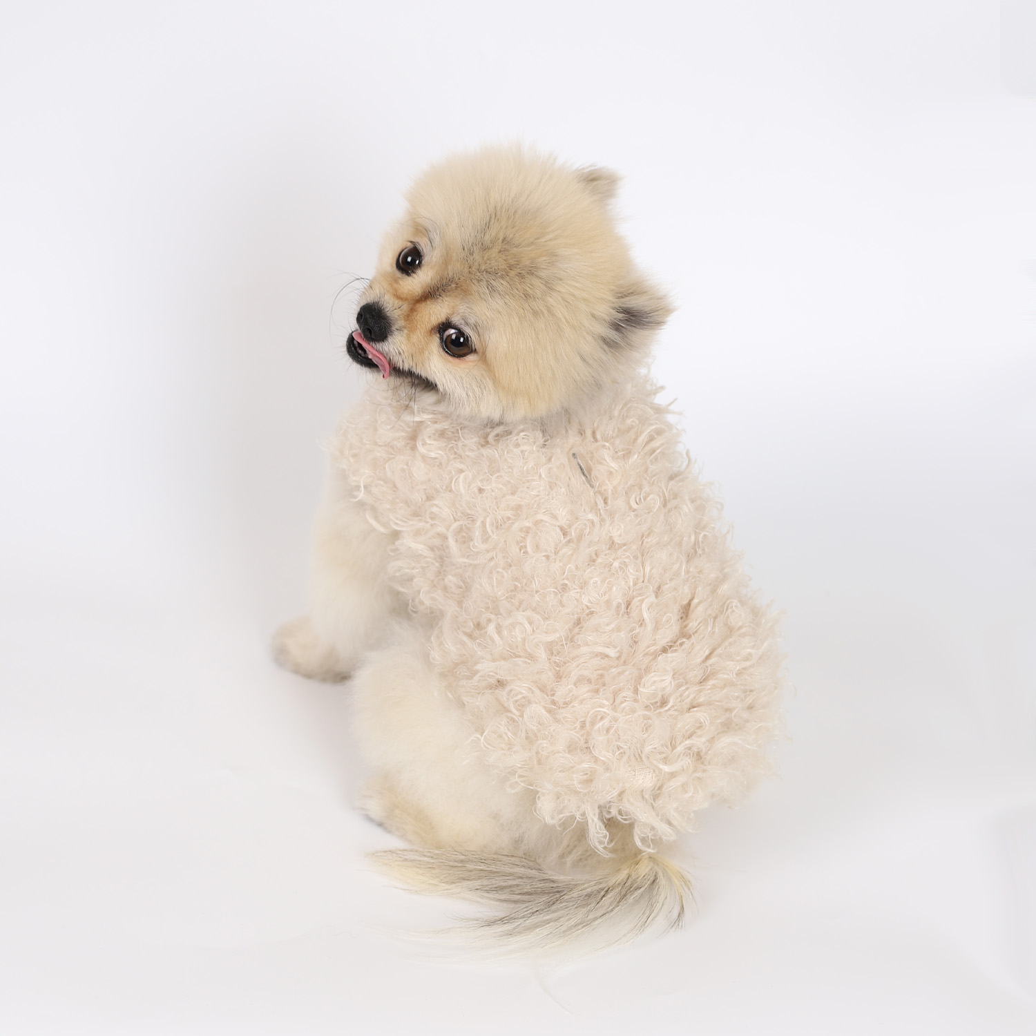 강아지겨울코트 몽루(COCOON)