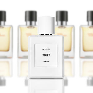 떼르 50ml 퍼퓸 인텐스 니치향수 138 TERRE (떼르 데르메스) 솔직 후기 | 피부 타입별 분석 - 상품 이미지 2