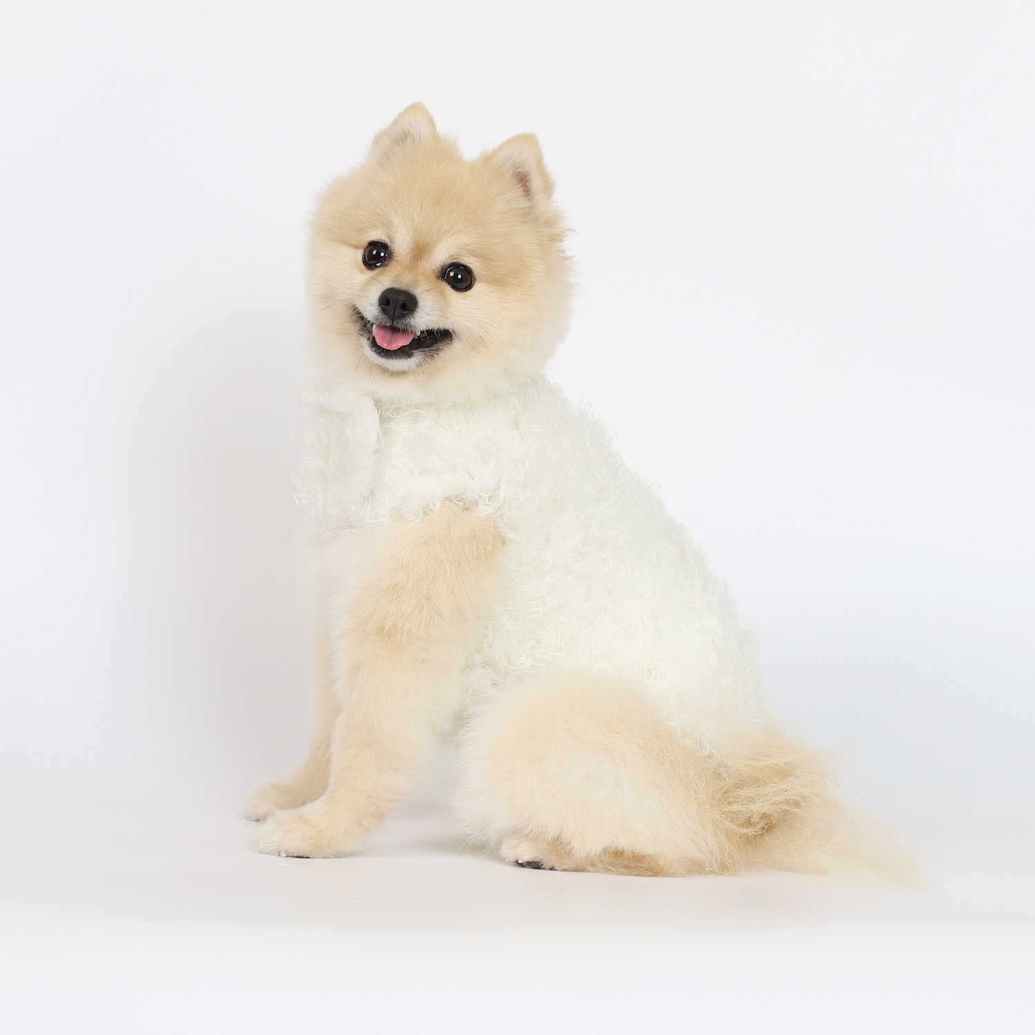 강아지겨울코트 몽루(COCOON)