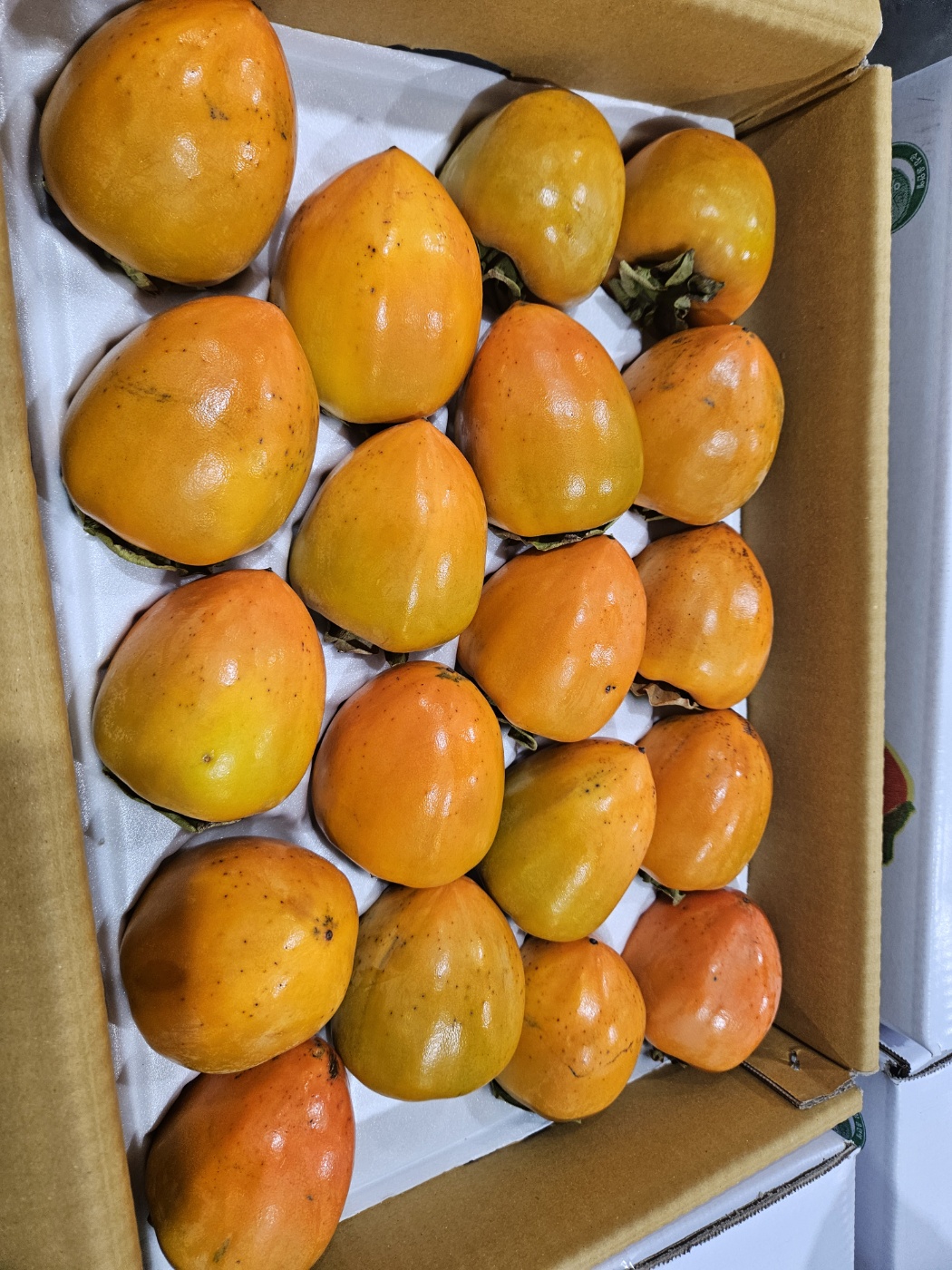 전라도 차량 단감 대봉 대과 특품 5kg 10kg - 상세 이미지 2