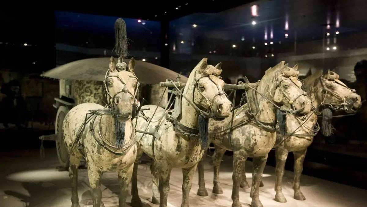 중국 시안 진시황제릉 박물관 (병마용) 반나절 투어 - 메인 이미지