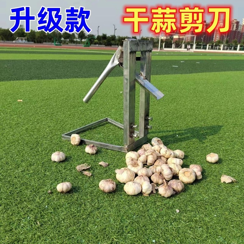 자동 마늘 뿌리 절단 기계 파뿌리 대파 쪽파 커팅기 컷팅기 - 상세 이미지 2