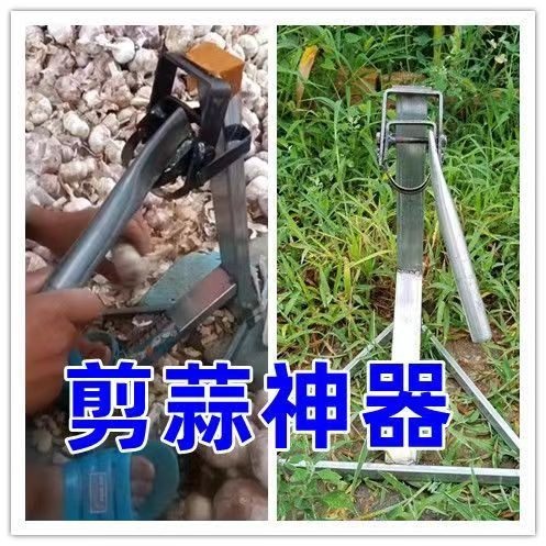 자동 마늘 뿌리 절단 기계 파뿌리 대파 쪽파 커팅기 컷팅기 - 상세 이미지 3
