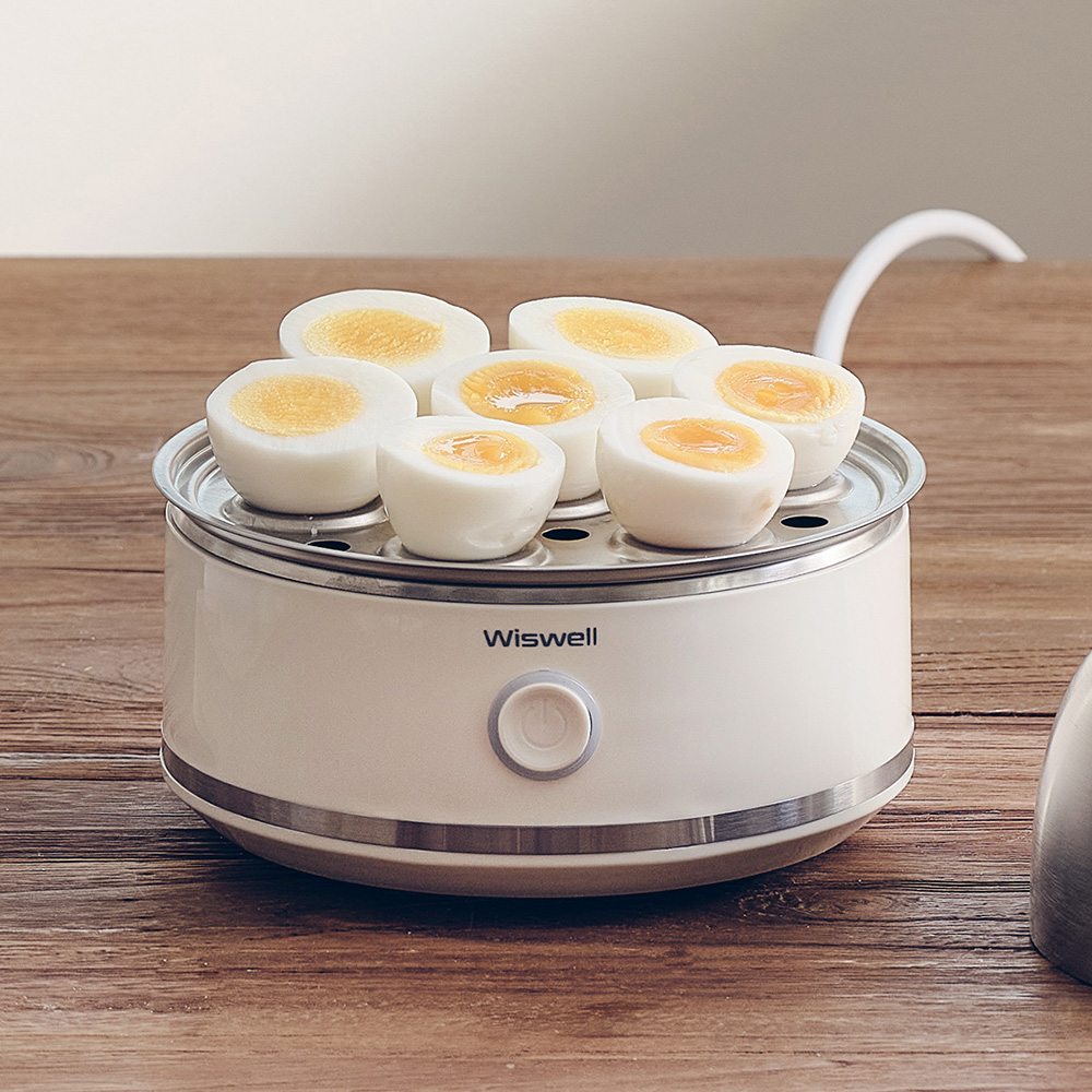 위즈웰 계란찜기 올 스테인리스 전기 찜기 기계 스텐 달걀 삶기 에그스팀