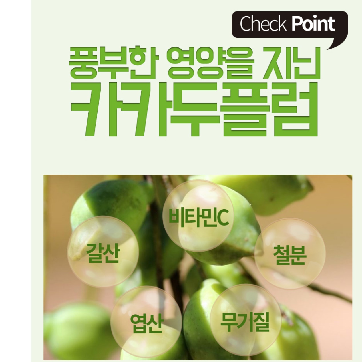 카카두플럼 추출 분말 500g 카카두플럼 가루 서양 자두 파우더 추출물 - 상세 이미지 2