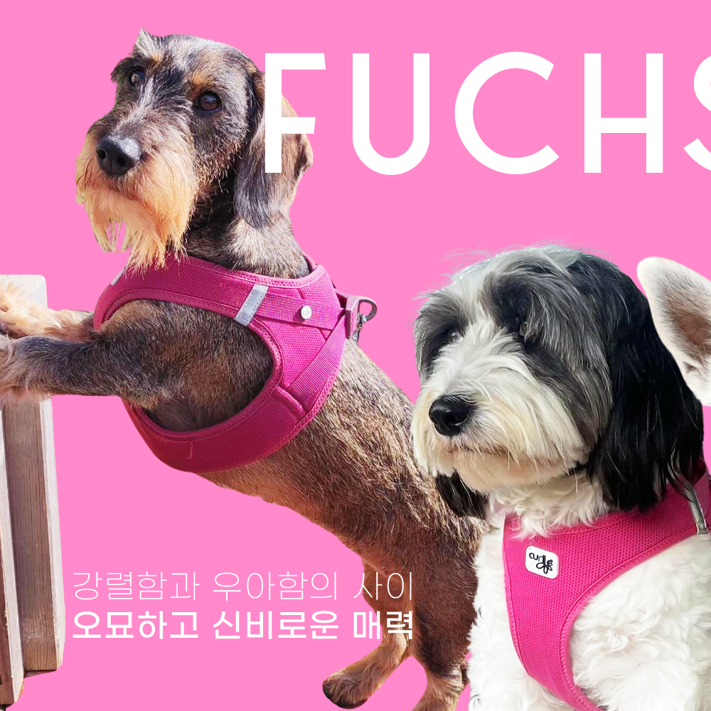 스위스 큘리 시그니쳐 하네스 푸시아 - 상세 이미지 2