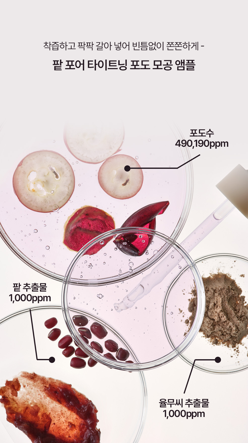 korean grape red bean pore ampoule