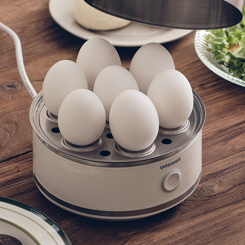 위즈웰 계란찜기 올 스테인리스 전기 찜기 기계 스텐 달걀 삶기 에그스팀