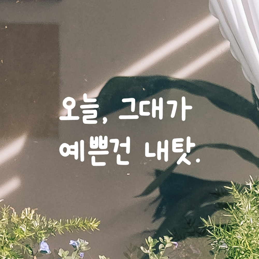 귀여운 손글씨 레터링 스티커 오늘 그대가 예쁜건 내탓 LMM-091S 검정 - 상세 이미지 2