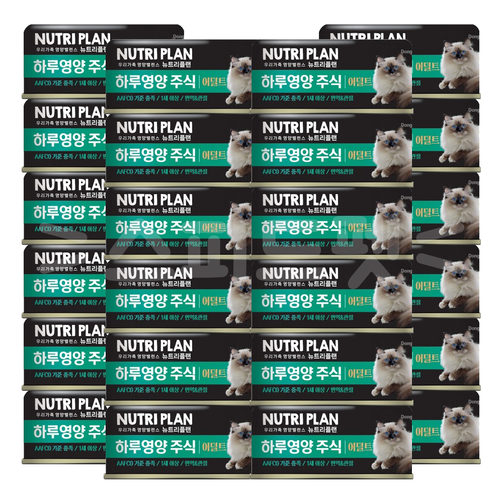 동원 뉴트리플랜 하루영양 주식캔 85g 24캔 어덜트 면역 관절 고양이 습식 - 메인 이미지