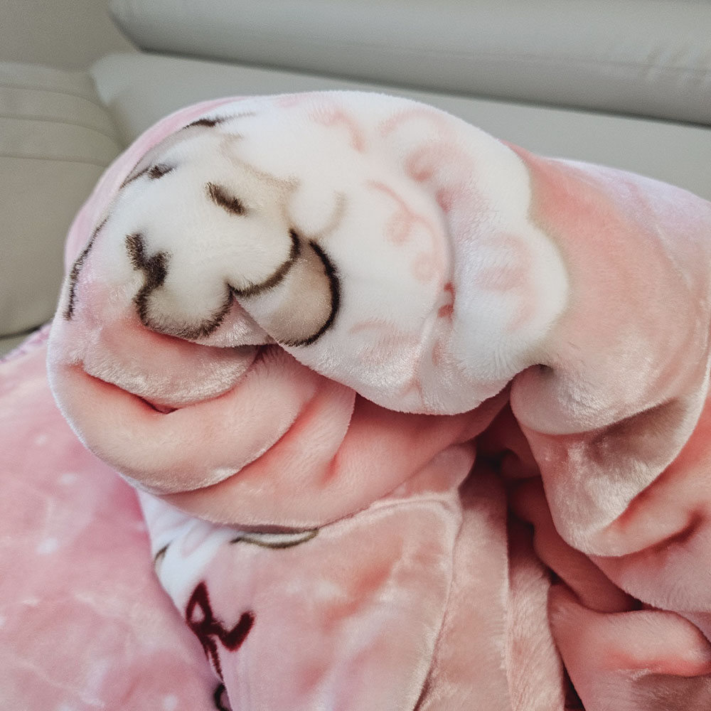 극세사 대형 밍크 담요 캠핑 양면 블랭킷 쇼파 이불 양담요(핑크)