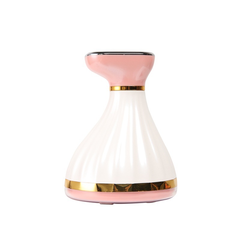 레비브이 바디 고주파 프리미엄 마사지기 초음파 가정용 바본관리 뷰티디바이스 갈바닉 리프팅