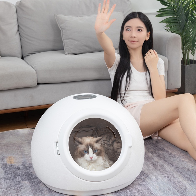 큐티펫츠 펫드라이룸 강아지 고양이 털 말리기 반려동물 건조기 저소음 - 메인 이미지