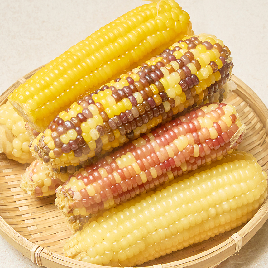 찰 옥수수 생 옥수수 찐 삶은 냉동 옥수수
