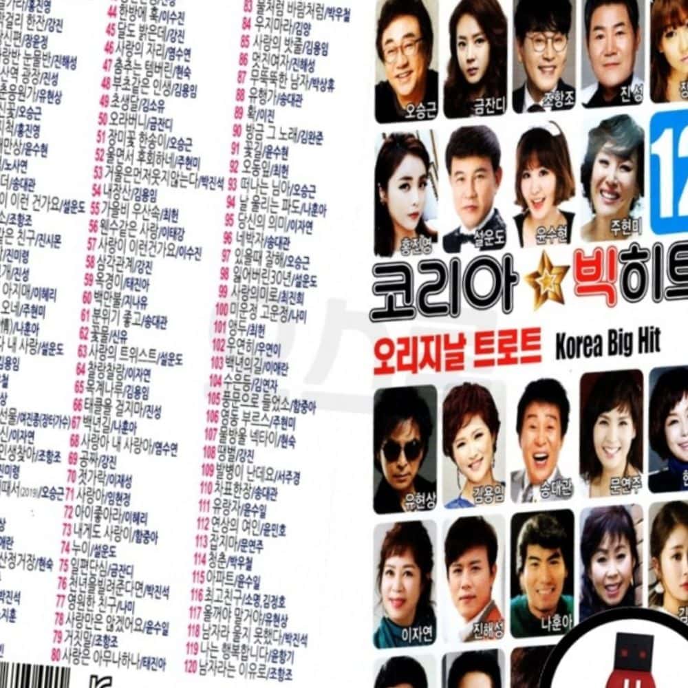 USB 코리아 빅히트 오리지날 트로트 120곡 세트 노래칩 : 동네살림