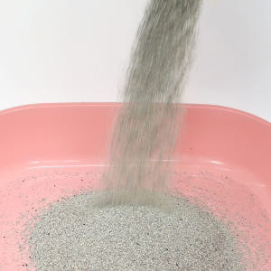 [프리미엄] 미켈란제로 먼지없는 벤토나이트 고양이 모래 블랙 18kg, ... 솔직 후기 | 실제 사용자 리뷰 총정리 - 상품 이미지 3