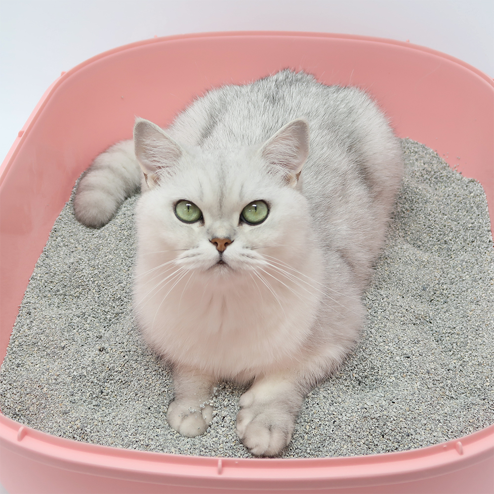 [프리미엄]미켈란제로 벤토나이트 모래 먼지없는 고양이 모래 블랙