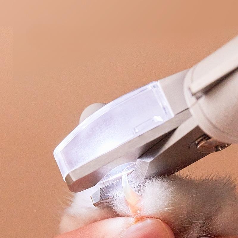 댕댕 반려동물 LED 고양이 강아지 발톱깎이 올인원 세트 - 상세 이미지 3