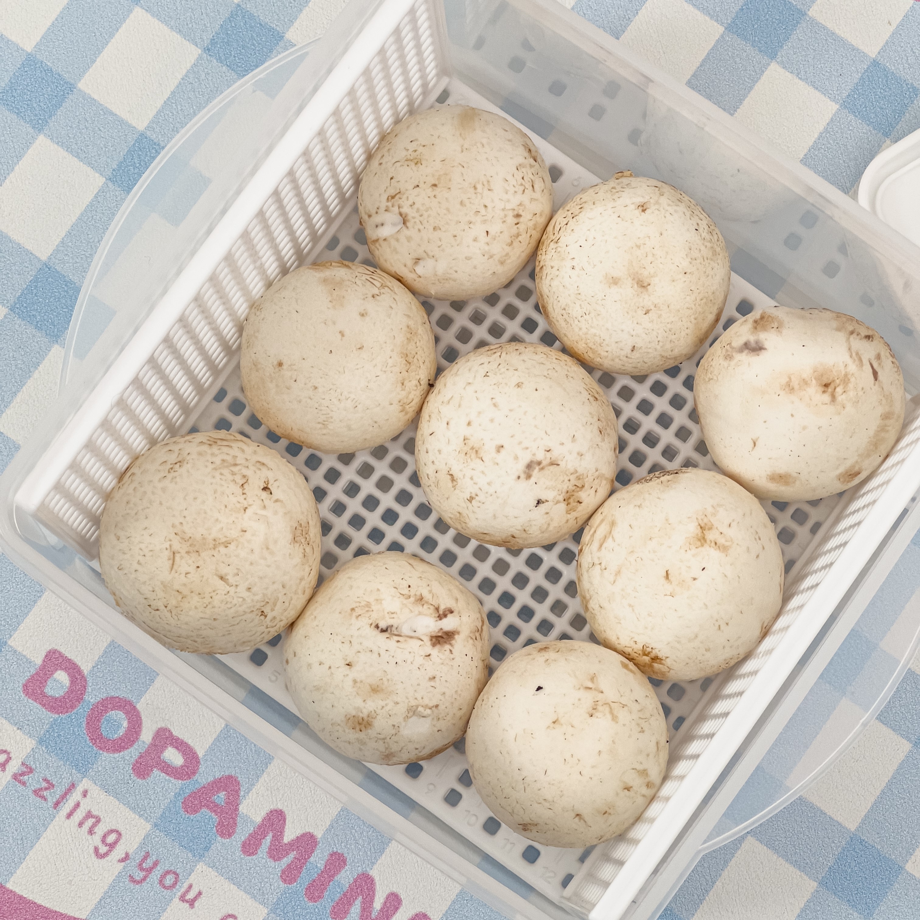 샐러드 소분 야채 보관 채반용기 콩나물 두부 파 보관통 샌드위치 이미지 7