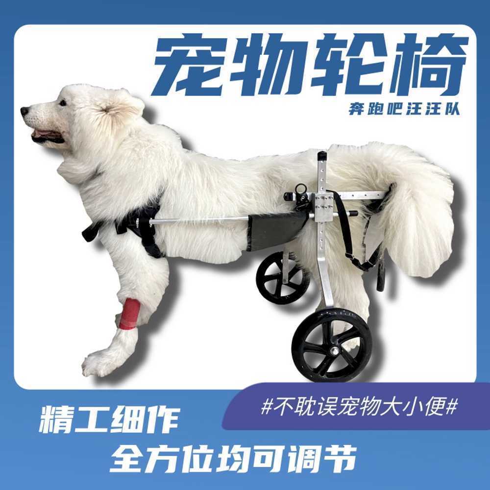 강아지 휠체어 2륜 재활 훈련 소형견 대형견 뒷다리 M - 상세 이미지 2