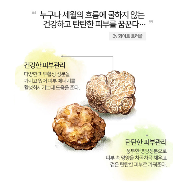 코리아나화장품 쉬니즈 바이탈 트러플 크림 100ml 2개 탄력 보습 영양 공급 이미지 7