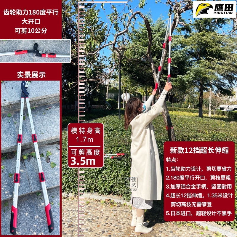 나무 전지가위 정원 양손 원예도구 큰가위 조경 스텐 - 상세 이미지 4