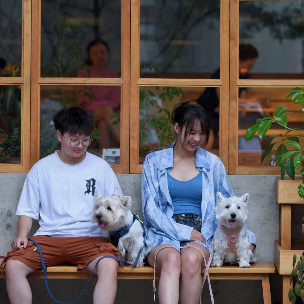 파스텔 톤 강아지 하네스 가슴줄 소형견 대형견 산책 하네스 - 상세 이미지 2