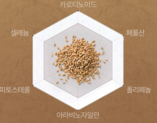아라비노 자일란 파로 효소곡물추출 2개월분 르셀란테 60 - 상세 이미지 4