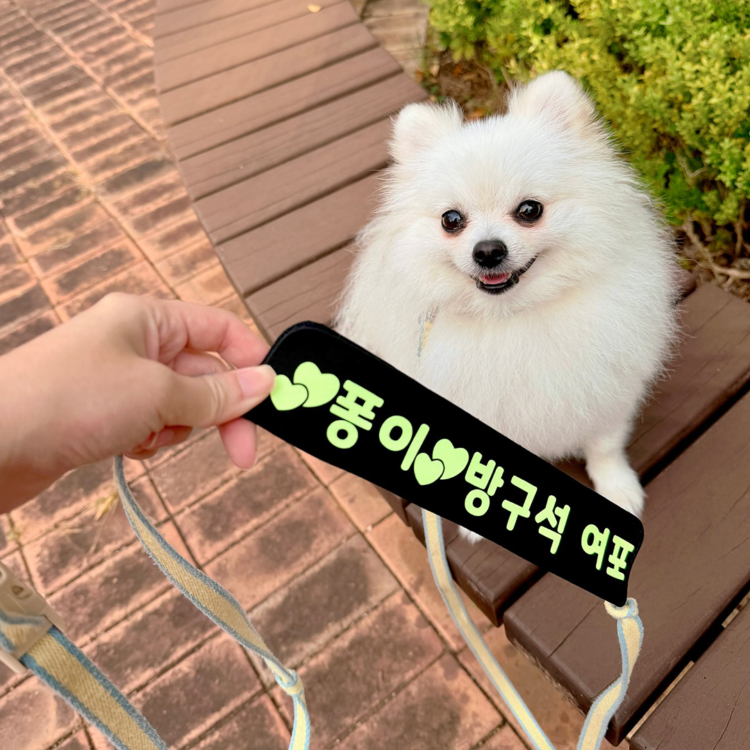 강아지 리드줄 인식표 인터라켄 리드줄 메세지택 강아지 펫티켓 산책 제작 벨크로 야광 반사 M - 상세 이미지 5